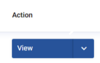 Action view.png